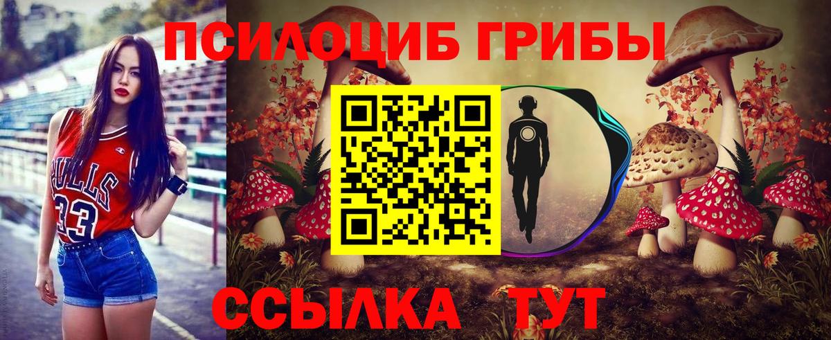 Псилоцибиновые грибы прущие грибы  Псилоцибиновые грибы Psilocybe  Лениногорск  Вход с VPN 